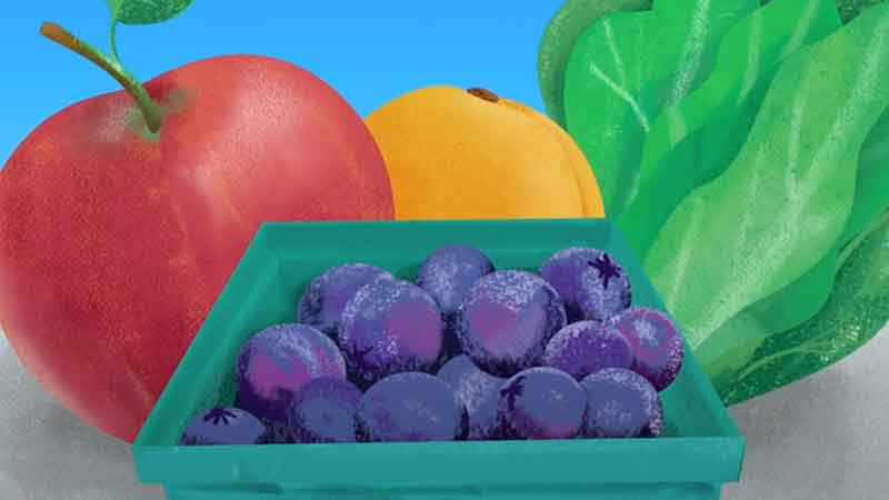 Infotoons – Food Safety Banner image