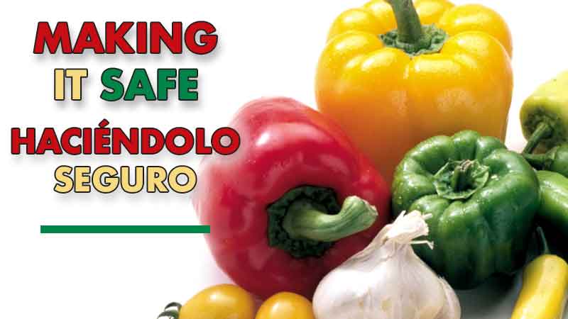 Making It Safe (English & Spanish) Banner image