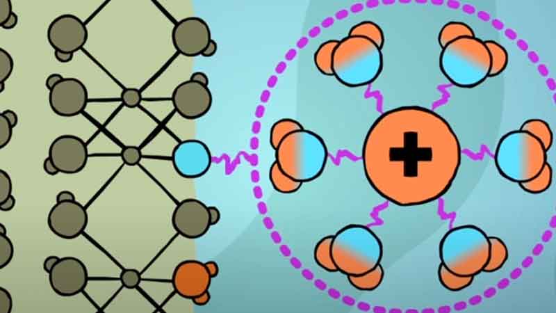 Sorption Animation banner image