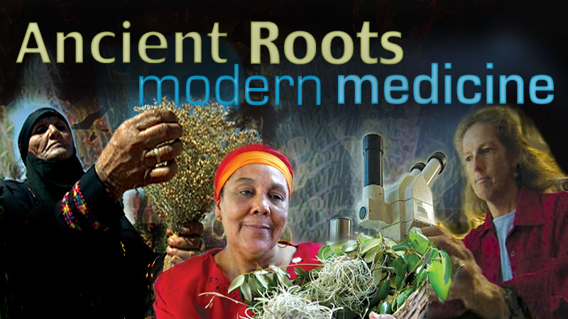 Ancient Roots, Modern Medicine banner image