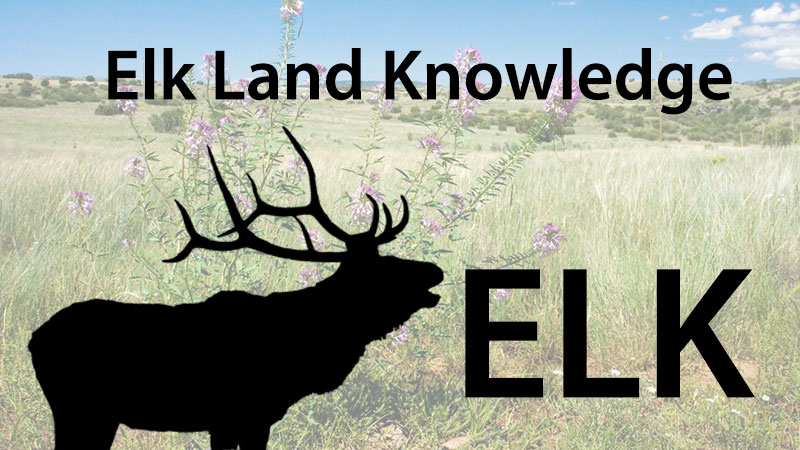 Elk, Land and Knowledge Banner image