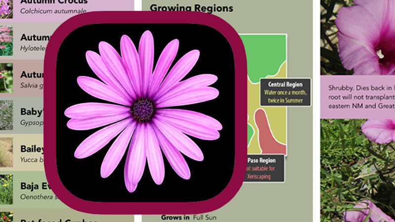 Southwest Plant Selector Banner image
