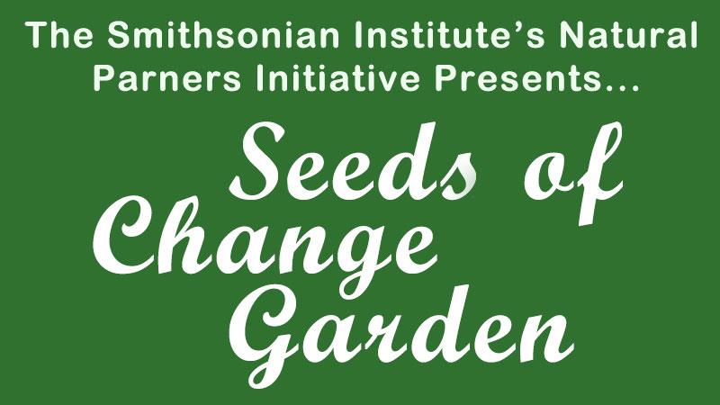 Seeds of Change Banner image