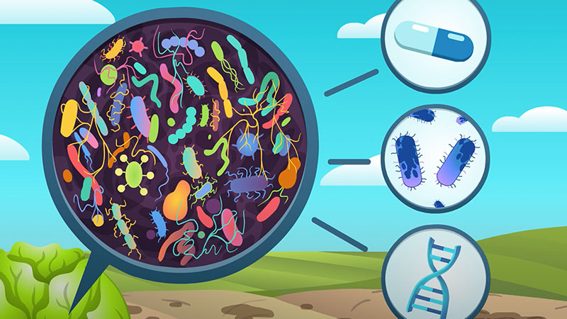 Reducing Antibiotic Resistance From Farm to Fork banner image