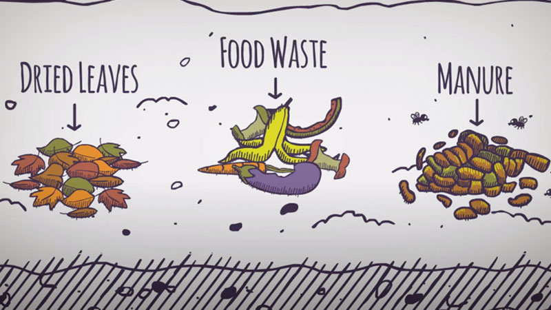 Chemistry in Agriculture Banner image