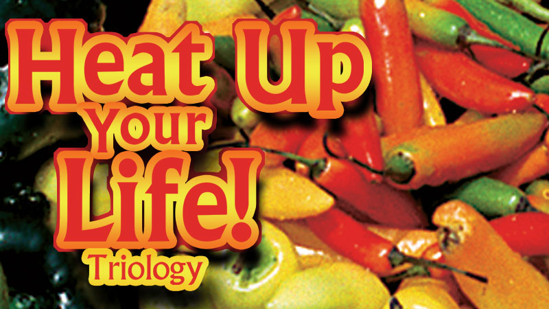 Heat Up Your Life Series