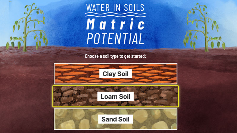 Movement & Storage of Water in Soils banner image