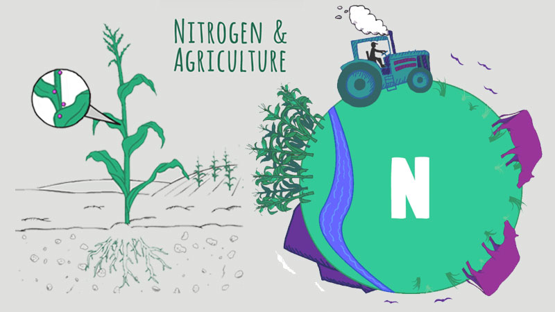 Nitrogen & Agriculture Banner image