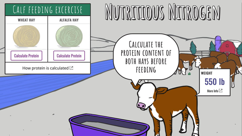 Nutritious Nitrogen banner image