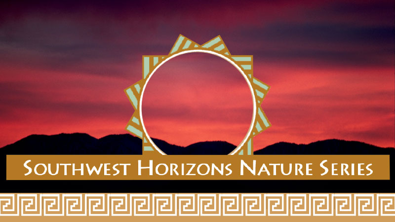 Southwest Horizons Nature: Videotape Series banner