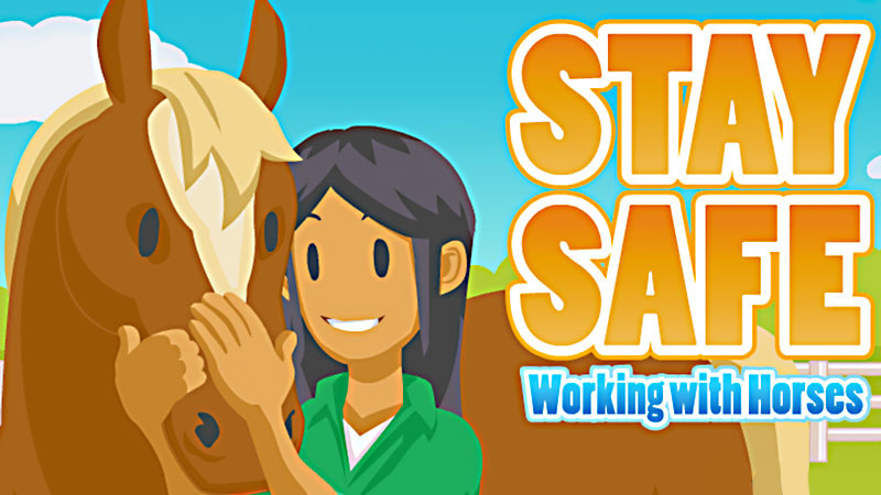 Stay Safe with Horses Banner image