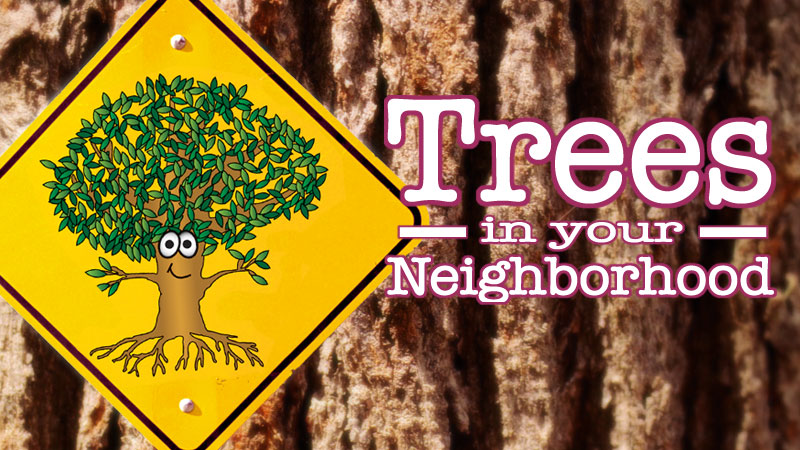 Trees in Your Neighborhood (English & Spanish) banner