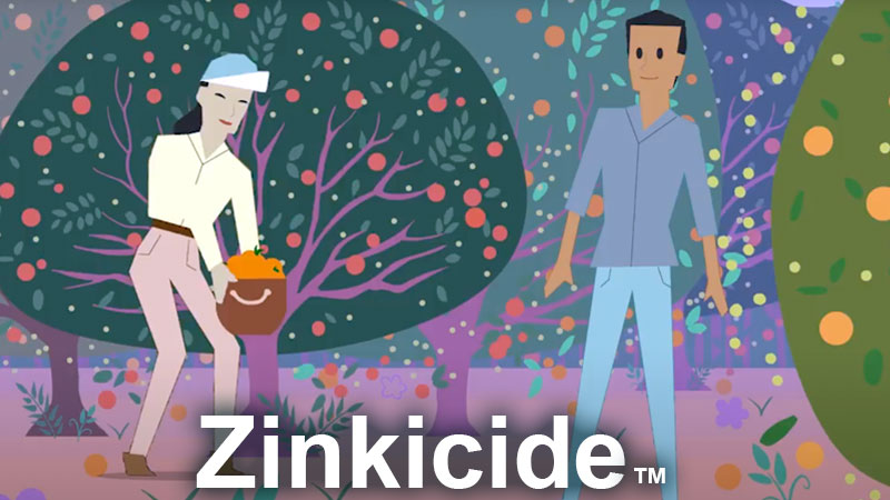 Zinkicide: Safe New Treatment for HLB Banner image